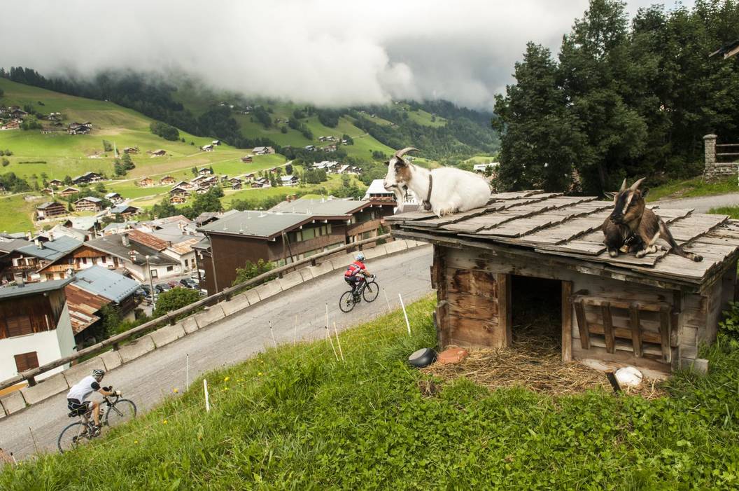 Tour de France climbs