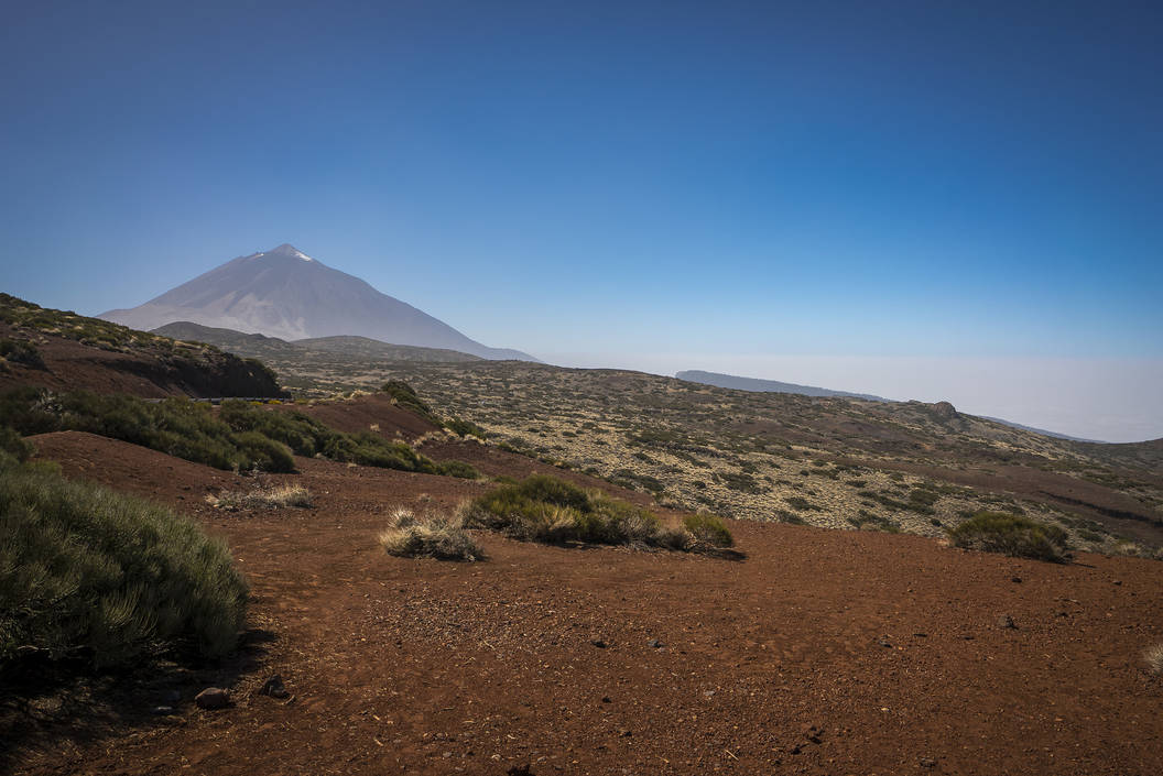 Canaria Tenerife Tieda