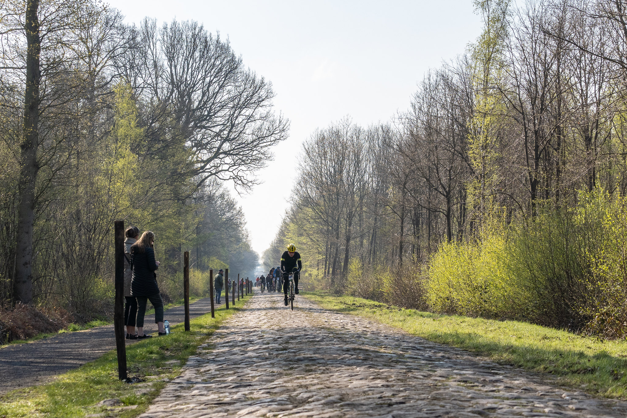 Forest of Arenberg