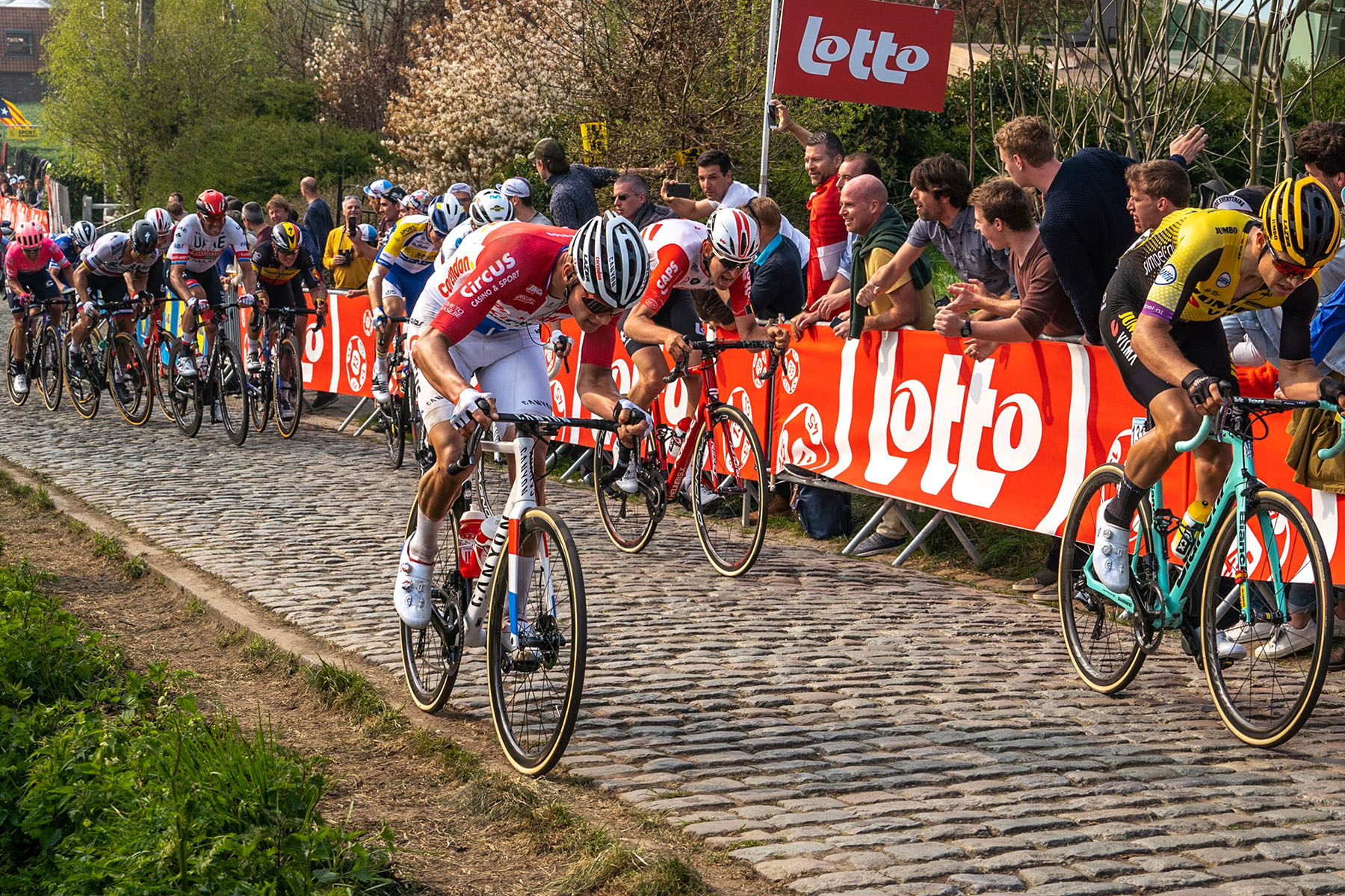 Mathieu van der Poel battles the cobbles