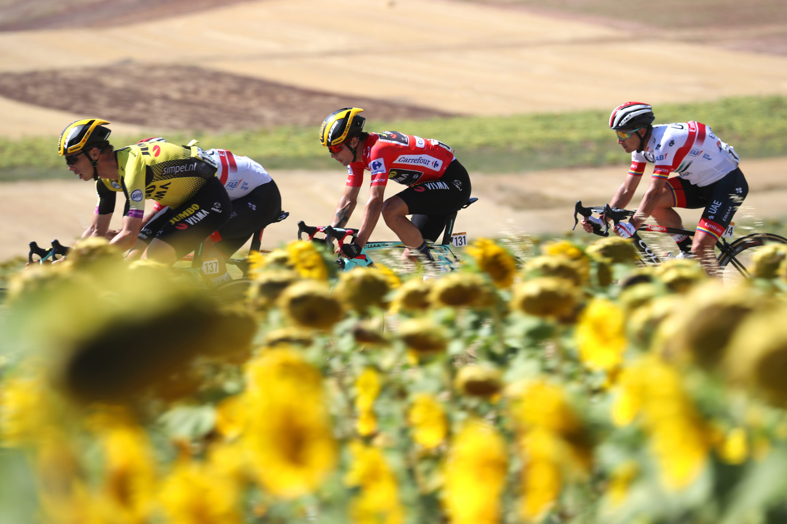 La Vuelta The Fight for the Red Jersey Thomson Bike Tours