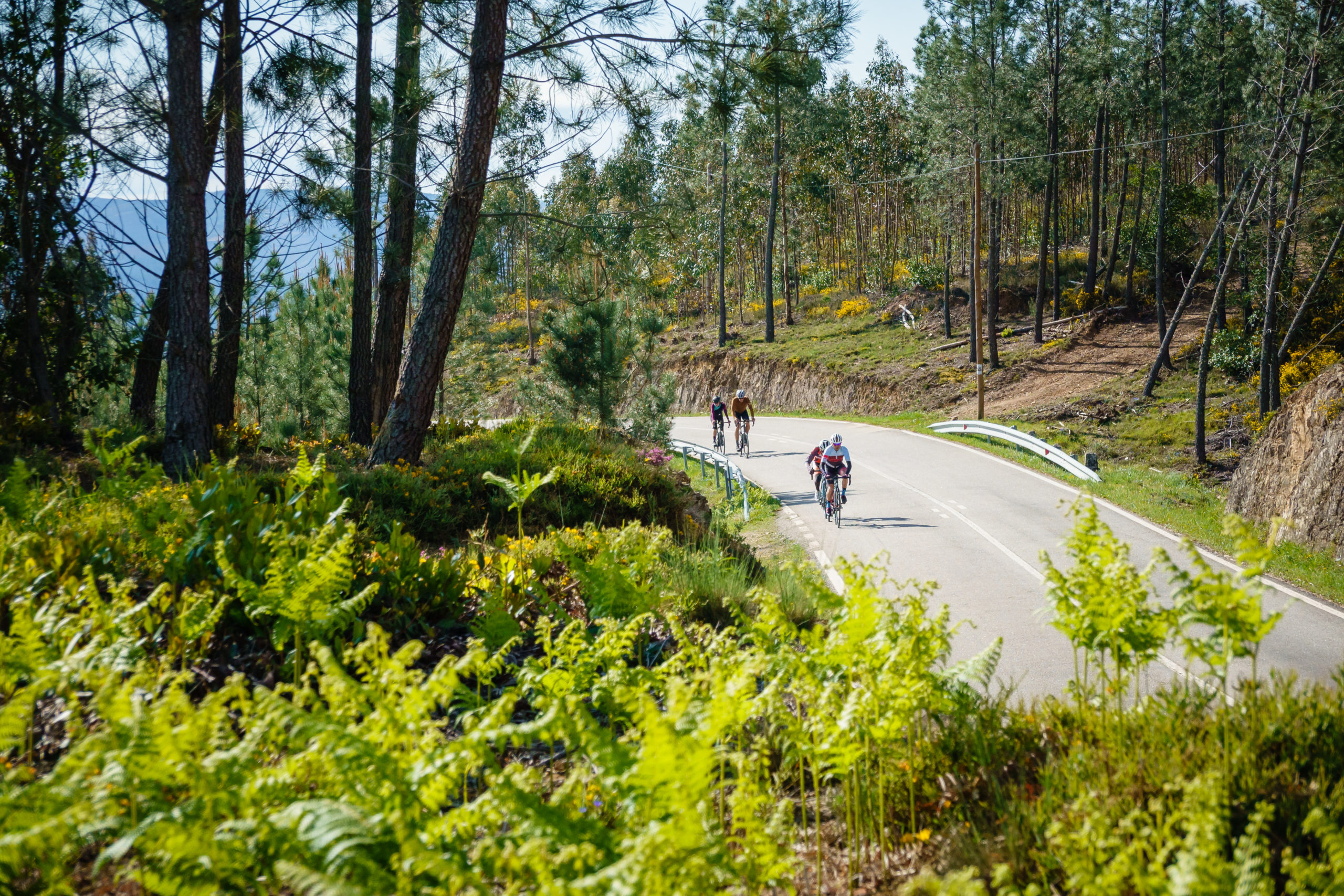 european gravel bike tours